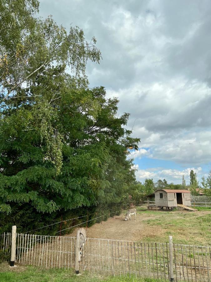 Appartamento Lieblingsplatz Parey - Tiny House Esterno foto